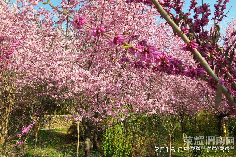 �����һ�Դ  ������μ������·��̬԰��Ƶ�Ժ��