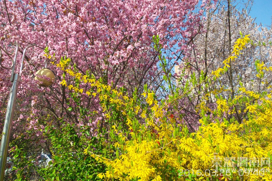 �����һ�Դ  ������μ������·��̬԰��Ƶ�Ժ��