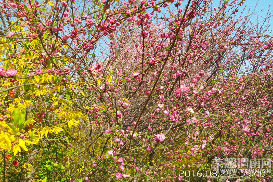 �����һ�Դ  ������μ������·��̬԰��Ƶ�Ժ��