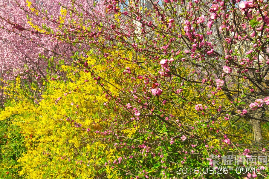 �����һ�Դ  ������μ������·��̬԰��Ƶ�Ժ��