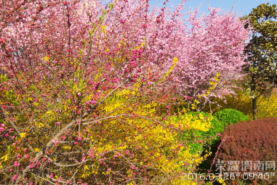 �����һ�Դ  ������μ������·��̬԰��Ƶ�Ժ��