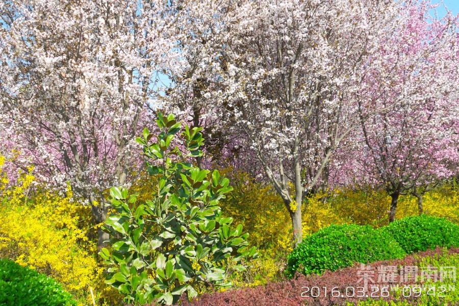 �����һ�Դ  ������μ������·��̬԰��Ƶ�Ժ��