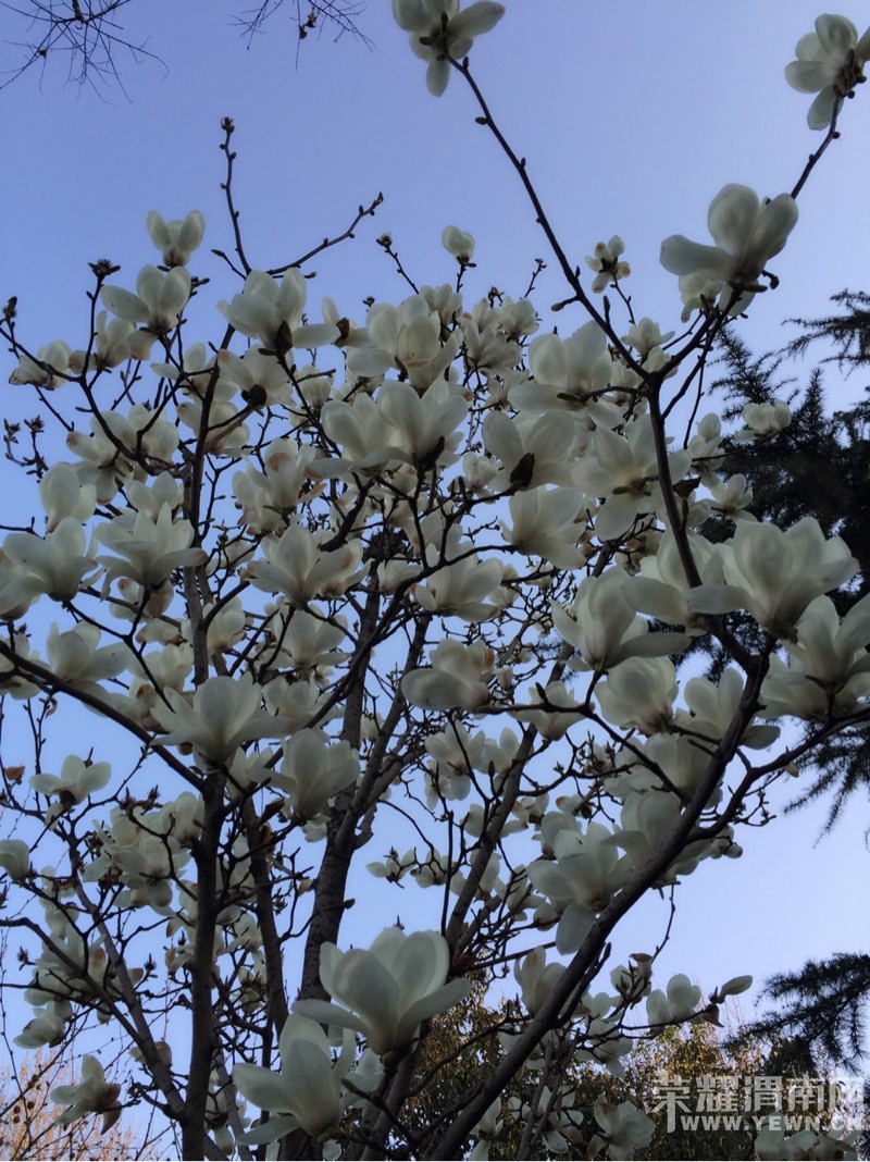 �������ݣ��������𣺴��������ͻ�ʱ�벻Ҫ�˺����ǣ�