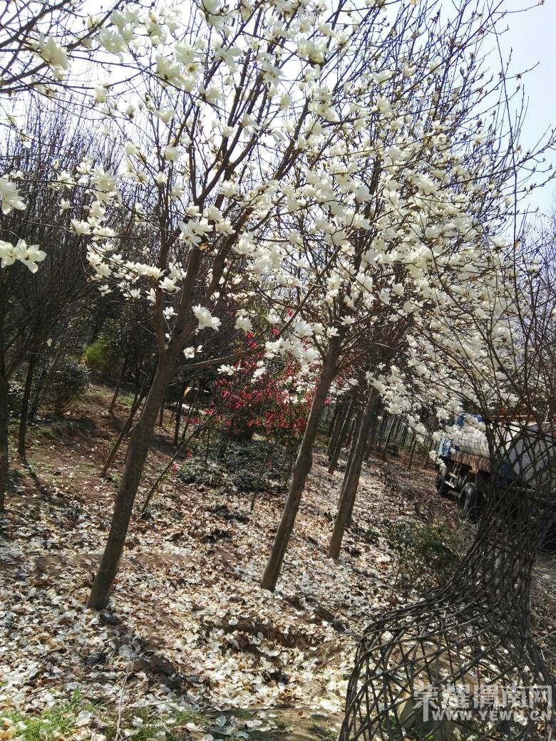 μ�ϵ����������ˣ�����˲��Ҳ��������~