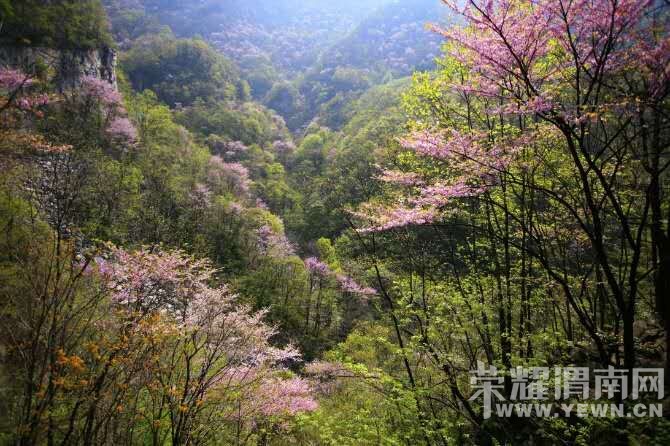 ѩ�ǻ���������С�������ι���