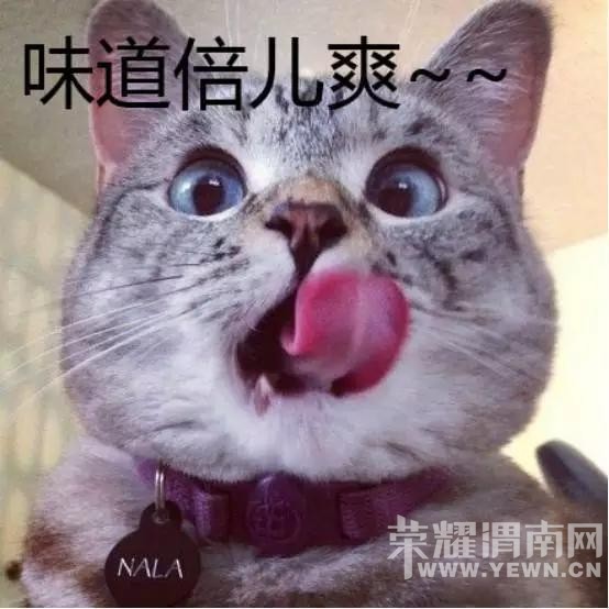 ���ػ�Ҫ��µϵļ��ٶȣ����Ѱɣ���Щ������û������