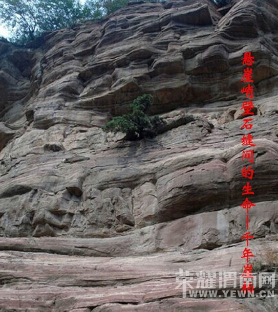 ���ı��󡢿������°أ�˭�����ȱ���������°أ�