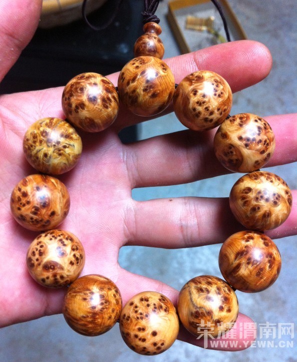 ���ı��󡢿������°أ�˭�����ȱ���������°أ�