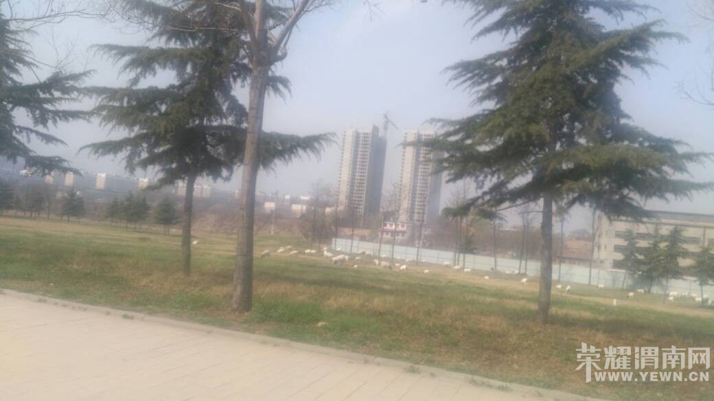 �����ڛY�ӹ�԰��ƺ�Ϸ��򣿣�������ô���ۣ�