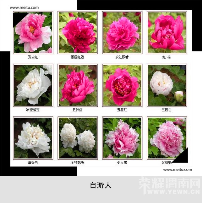 �������ˡ�4.9��������ĵ���￴��������һ���� 