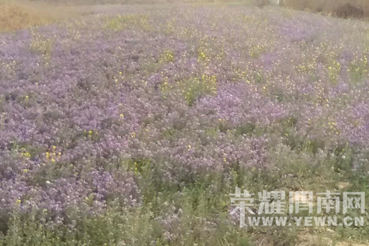 �̰���������̫����