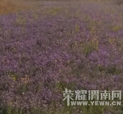 �̰���������̫����