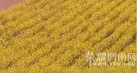 �̰���������̫����