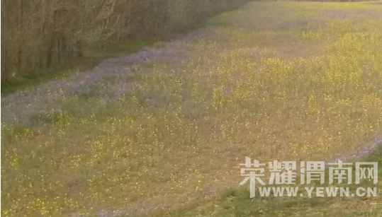 �̰���������̫����