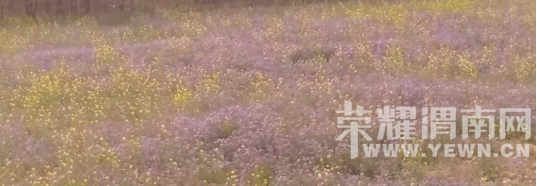 �̰���������̫����