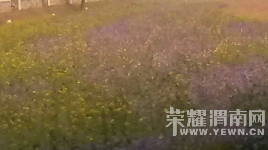 �̰���������̫����