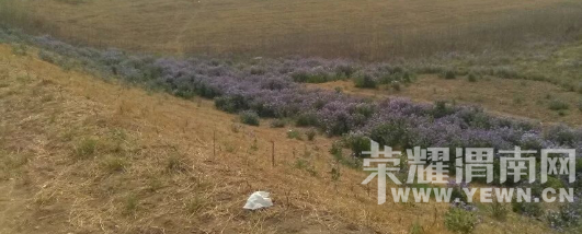 �̰���������̫����