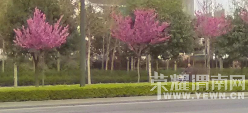 �̰���������̫����