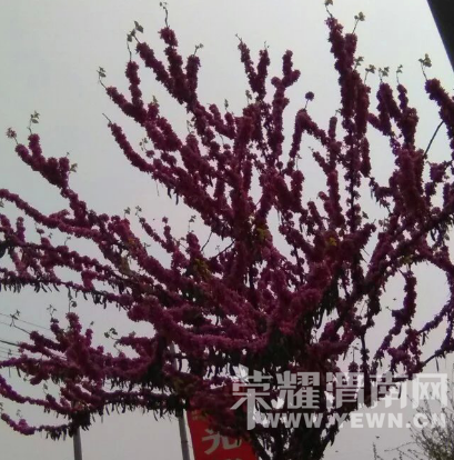 �̰���������̫����