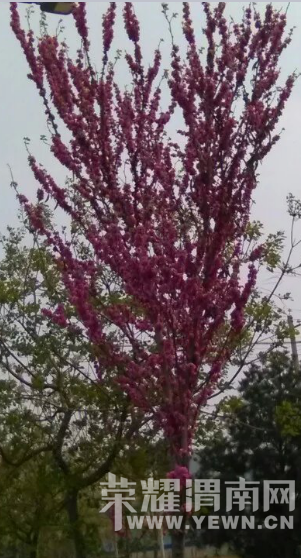 �̰���������̫����