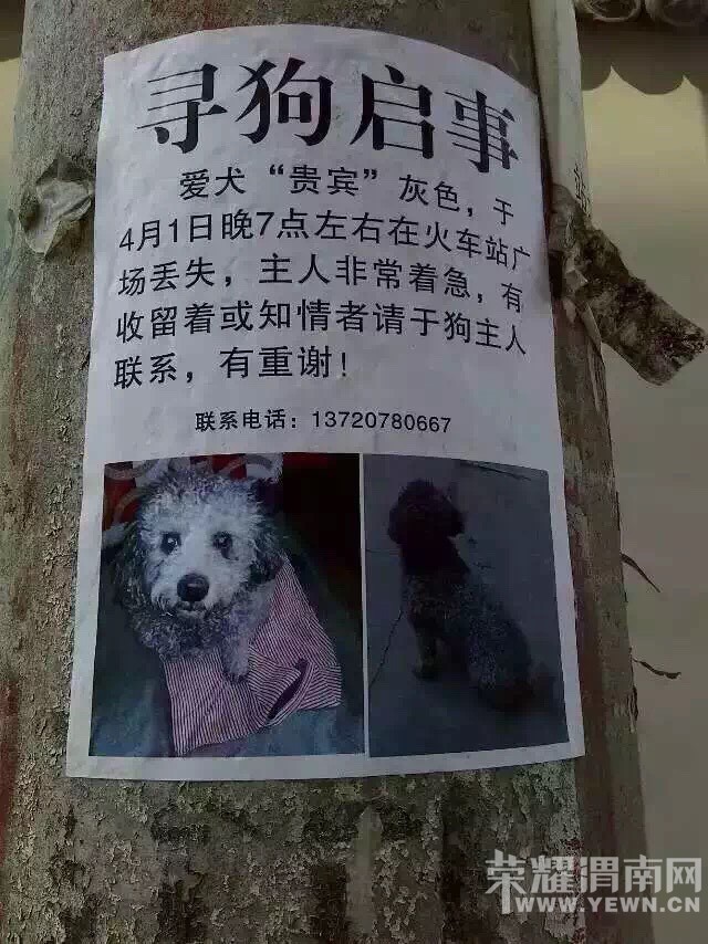 Ѱ�Ҹռ���ë�Ļ�ɫ̩��~