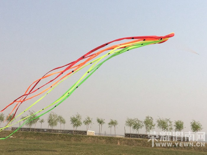 ��ҫμ�������ӷ��ݽ�ͼ��ȫ��¼~~