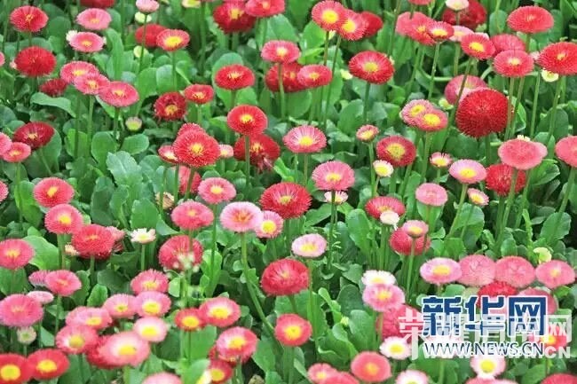 μ�ϡ�����ͬ�л��⡿4��9�ն�������������+����С��+������һ����