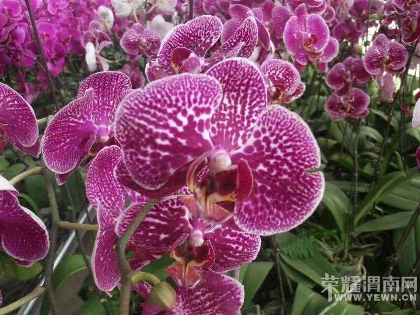 μ�ϡ�����ͬ�л��⡿4��9�ն�������������+����С��+������һ����