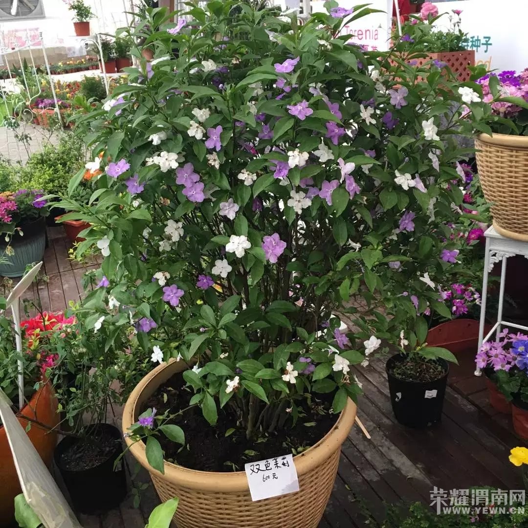 μ�ϡ�����ͬ�л��⡿4��9�ն�������������+����С��+������һ����