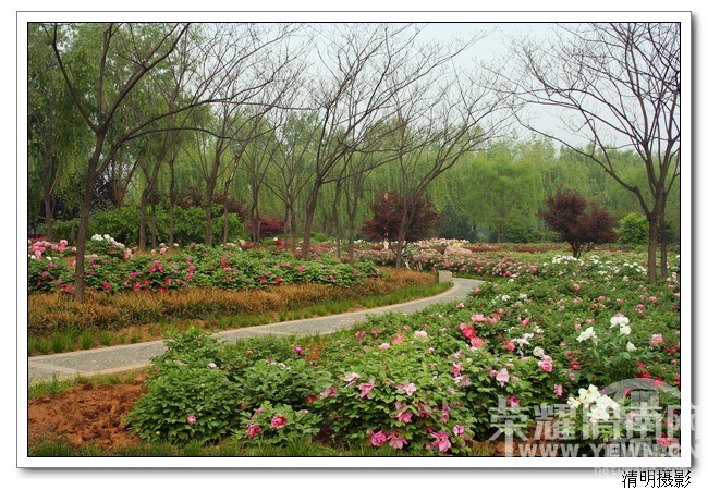 μ�ϡ�����ͬ�л��⡿4��10�ţ����գ�����ĵ����������ĵ��԰+������԰һ����