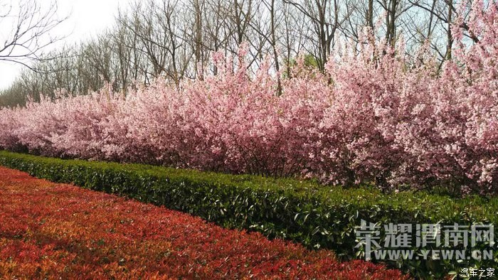 μ�ϡ�����ͬ�л��⡿4��10�ţ����գ�����ĵ����������ĵ��԰+������԰һ����