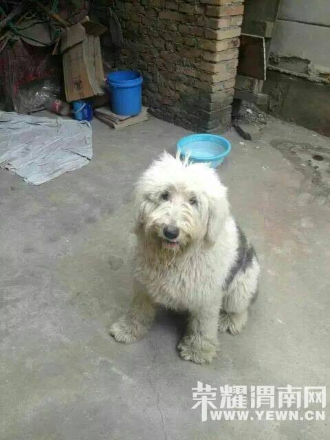 ���˰�Ȯ����������9��������������·�ڶ�ʧ��������