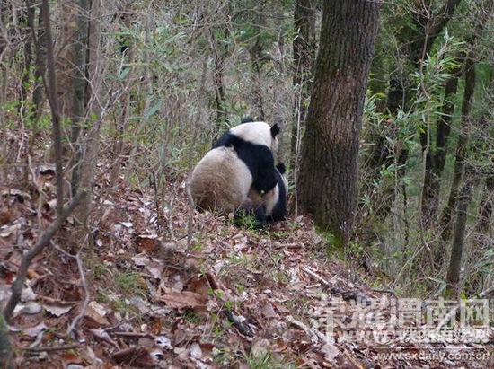 ����èҰ�⽻��  ��������10���������µ�10��