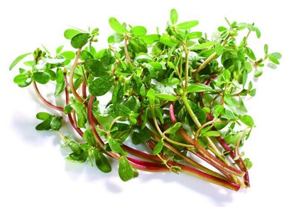 �����Ȼ������ ̥������ ���ǳ��������