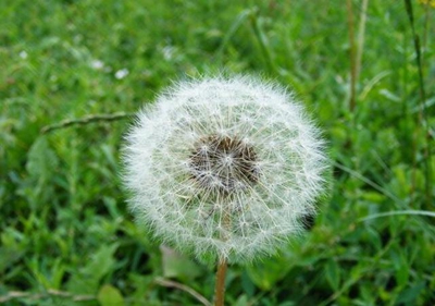 �����Ȼ������ ̥������ ���ǳ��������