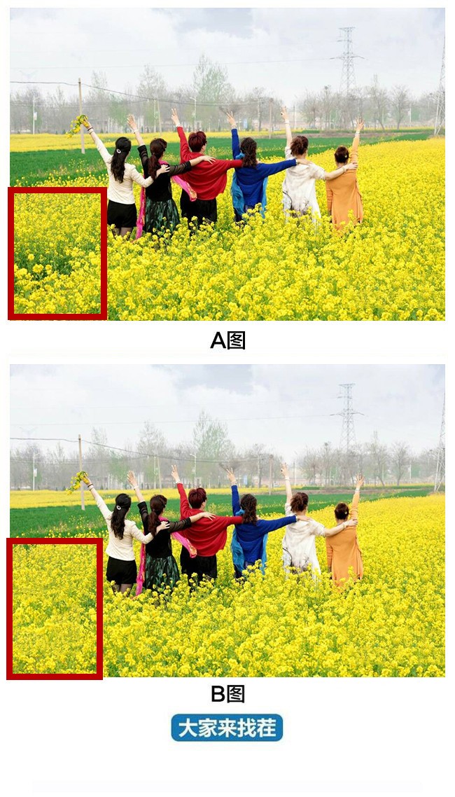 ��������Ҳ�-��72�ڡ��������ȥ���Ͳ˻�������ɷ�Ը��ͬ�У�