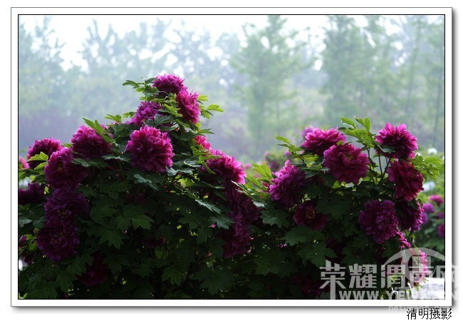 μ�ϡ�����ͬ�л��⡿4��16�գ�����������ĵ������������ַĵ��԰һ����