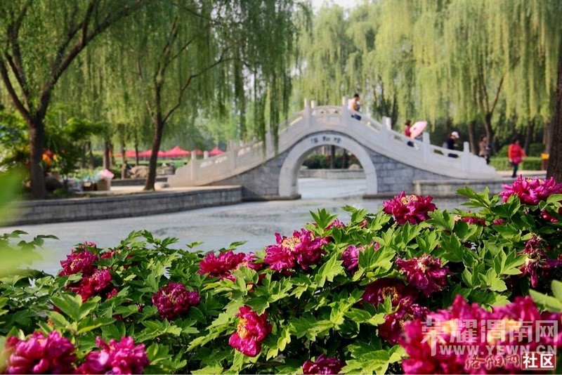 μ�ϡ�����ͬ�л��⡿4��16�գ�����������ĵ������������ַĵ��԰һ����