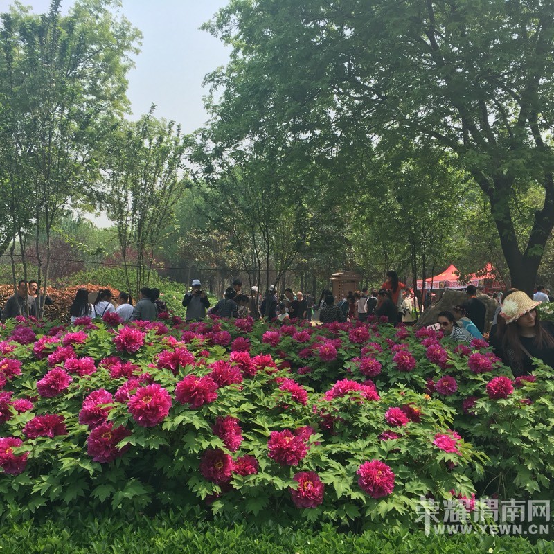 μ�ϡ�����ͬ�л��⡿4��16�գ�����������ĵ������������ַĵ��԰һ����