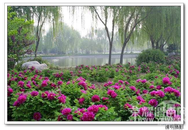 μ�ϡ�����ͬ�л��⡿4��16�գ�����������ĵ������������ַĵ��԰һ����