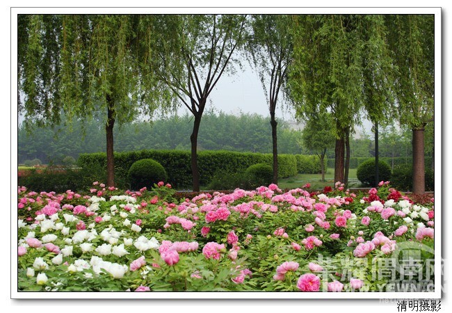 μ�ϡ�����ͬ�л��⡿4��16�գ�����������ĵ������������ַĵ��԰һ����