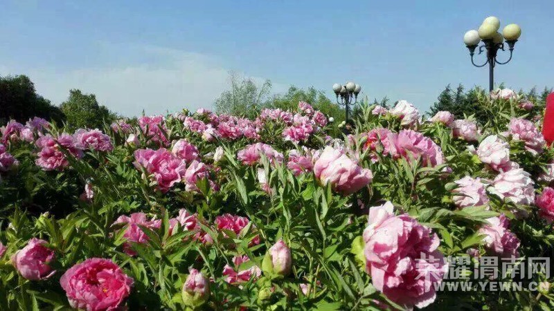 μ�ϡ�����ͬ�л��⡿4��17�գ����գ�ͭ��ĵ��԰�ͻ�+��ƽ���ɷ���ʳһ����