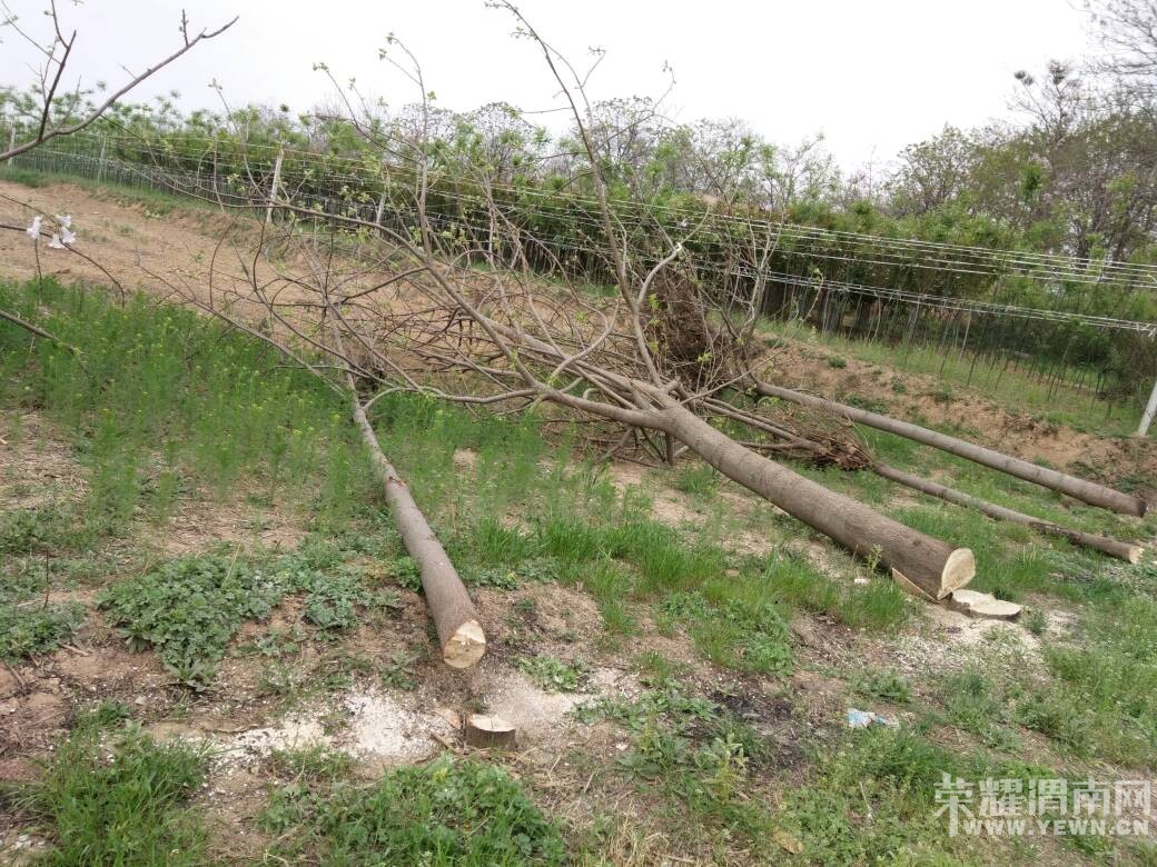 ��μ����������ë��·����ľ�������������鿳������