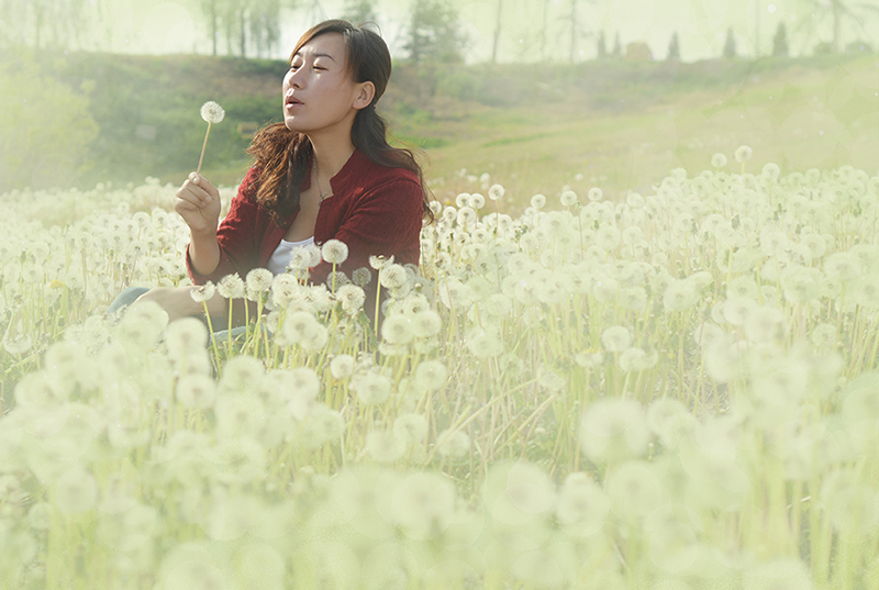 μ��̲ʢ�����ѹ�Ӣ