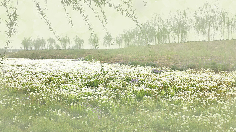 μ��̲ʢ�����ѹ�Ӣ