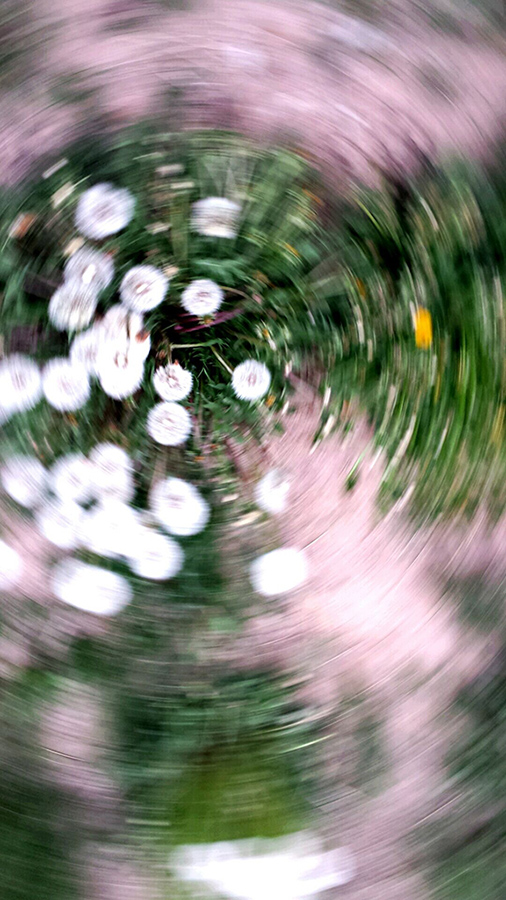 μ��̲ʢ�����ѹ�Ӣ