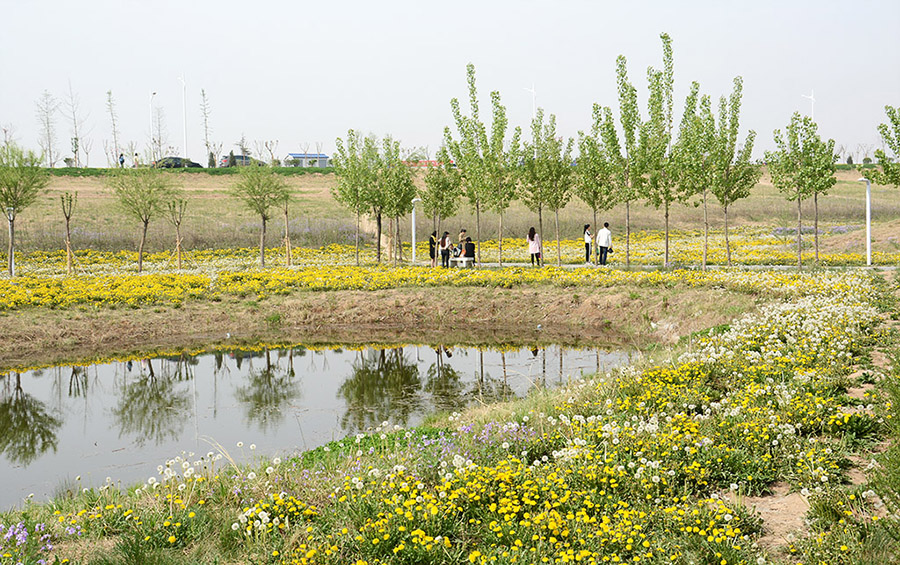 μ��̲ʢ�����ѹ�Ӣ