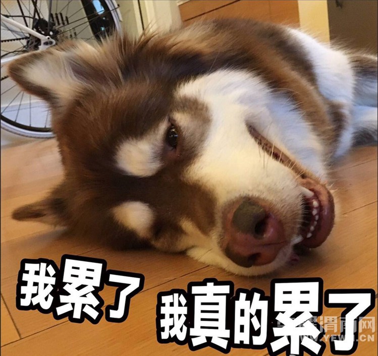 콢ԡǿģԽԽˣ