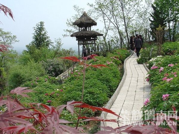 μ�ϡ�����ͬ�л��⡿4��24�հ���Ȫĵ��Է+����ɽ����һ����