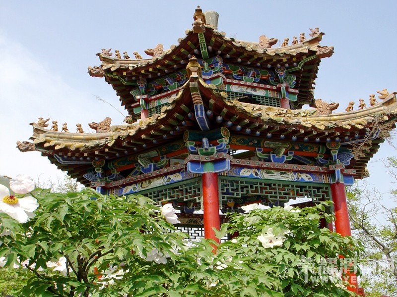 μ�ϡ�����ͬ�л��⡿4��24�հ���Ȫĵ��Է+����ɽ����һ����